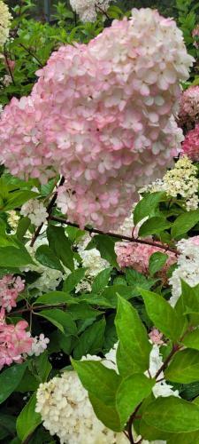 La Parenth�se