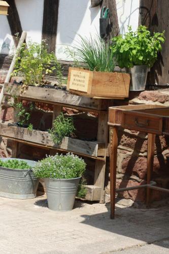 Bed & Breakfast La Grange Aux Coqs