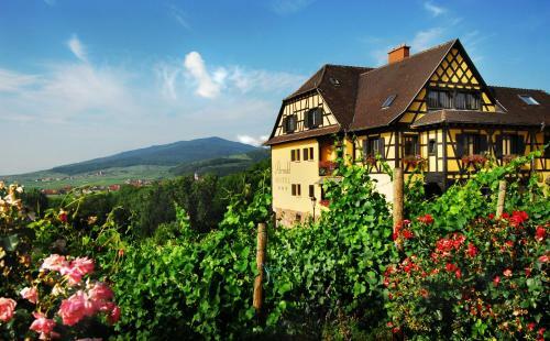 Hotel H�tel Arnold