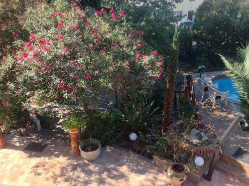 Hostal A L'ombre Du Cedre