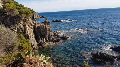Apartamento � Salins