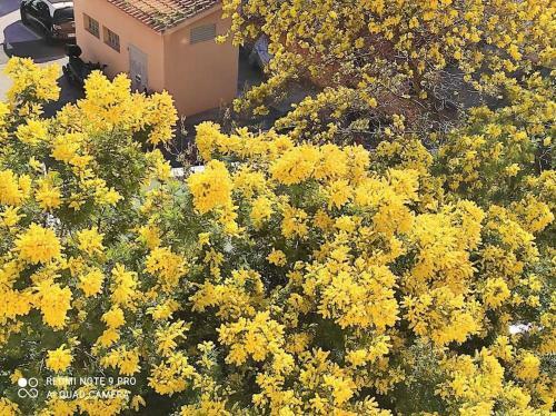 Apartamento Superbe Appartement Proche Centre Hyeres