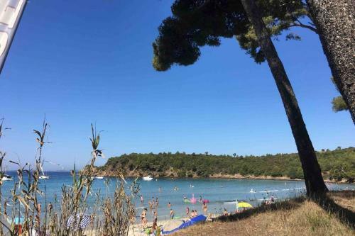 Apartamento Petite Studette Centre Ville Toute �quip�e (15m2)