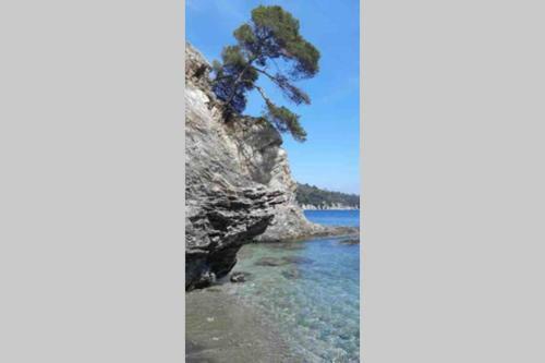 Apartamento Petite Studette Centre Ville Toute �quip�e (15m2)