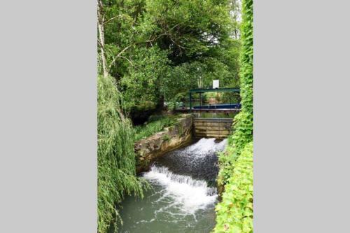 Moulin Dans Un Parc D?�levage � Daims