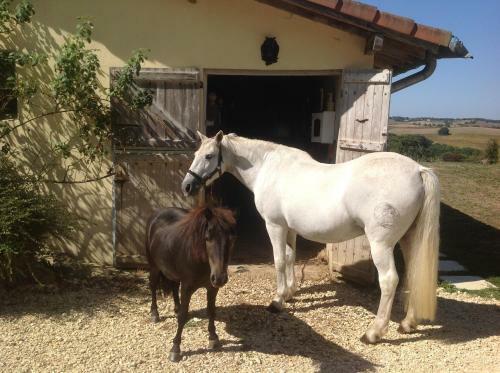 Bed & Breakfast La Raillere