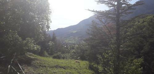 Chalets Cocody Jacuzzi