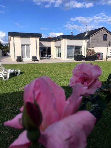Bed & Breakfast Le Chat Bott�77