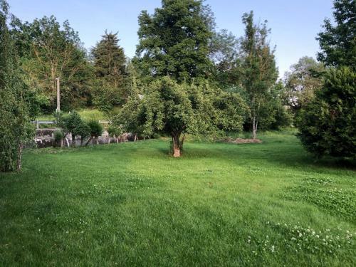 Jardin Jur�sien Maison 3 Chambres