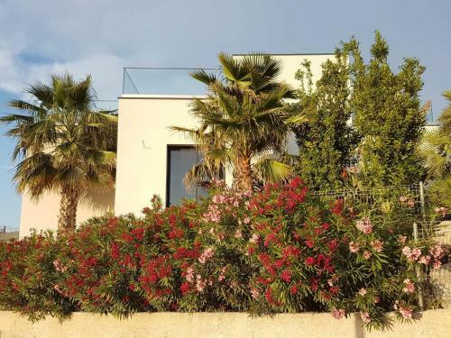 Bed & Breakfast Les Palmiers