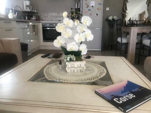 Apartamentos Appartement Solenzara