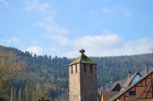 Apartamento Coeur D'alsace