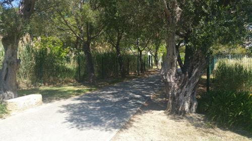 Apartamento Domaine Juan Flore