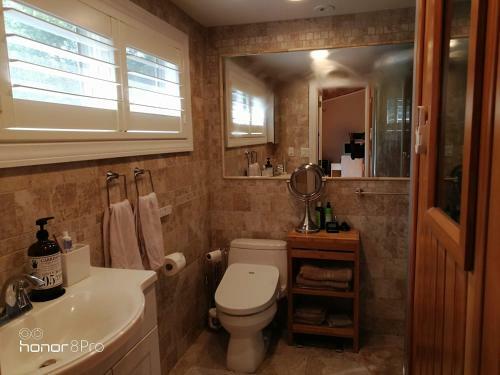 5-br Skylit Contemporary Home On 3 Forested Acres