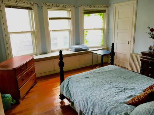 Sid's Victorian Oasis