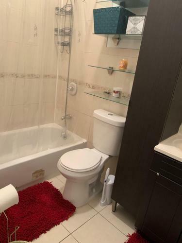 Charming Two Bedroom Apartment In Bushwick!
