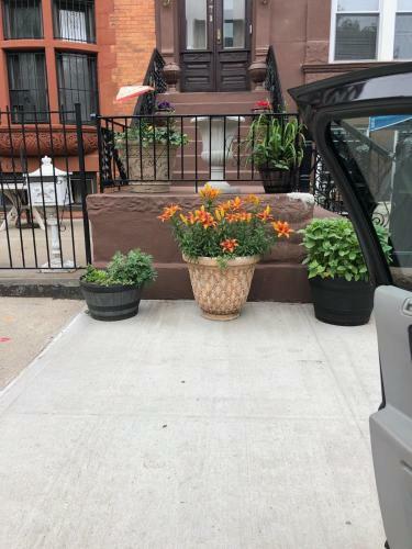 Apartamento Brooklyn Brownstone