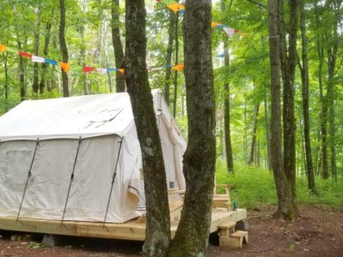 Tentrr Signature Site - Briar Hill Respite