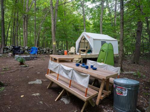 Tentrr Signature Site - Downing Wood