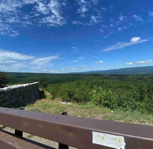 Happy Minnewaska- Welcome Home
