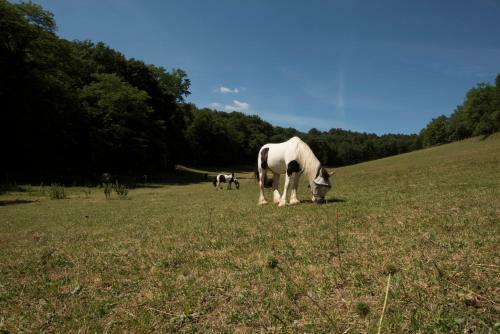 Bed & Breakfast Ch�teau De Valette