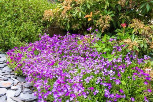 Bed & Breakfast La Chambre Enchant�e