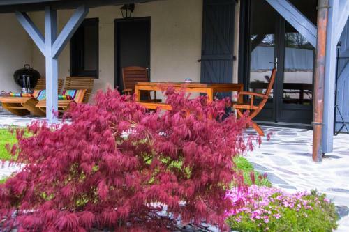 Bed & Breakfast La Chambre Enchant�e