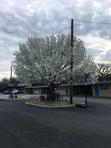 Motel Royal Inn