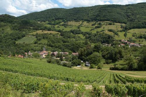 Les Granges De La For�t