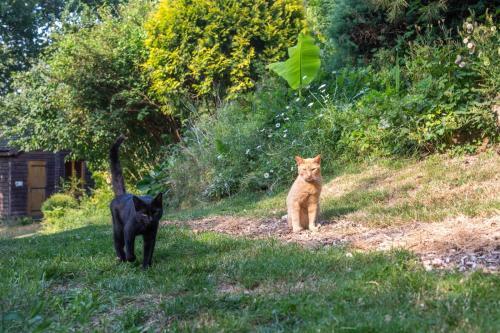 Suite De La Vall�e Des Ch�nes