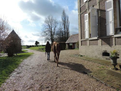 Bed & Breakfast Chambres D'h�tes de La Bucaille