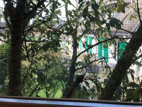 Cabane Du H�risson