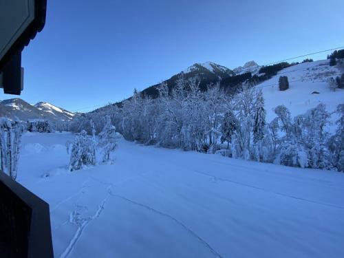 Apartamento Triolet 11 - Chamroc Immobilier