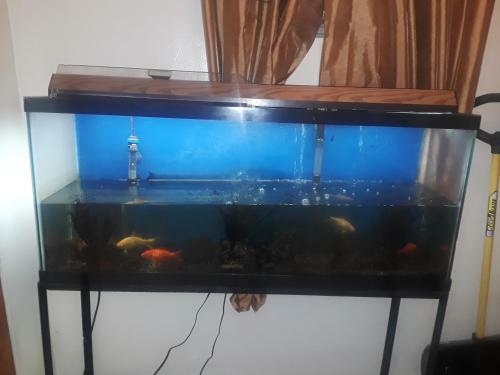 Hostal Guest House 5 Min. From Jfk