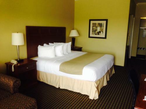 Motel Best Western Hebbronville Inn