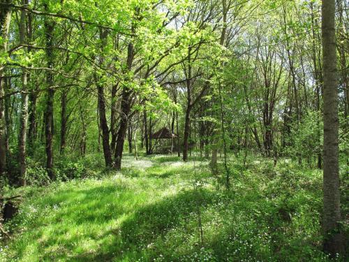 Holiday Home Alexandre - Bca300
