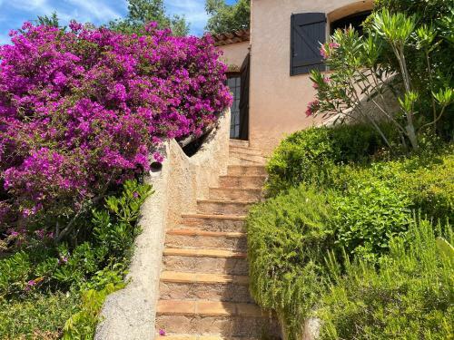 Villa Sans Pareil