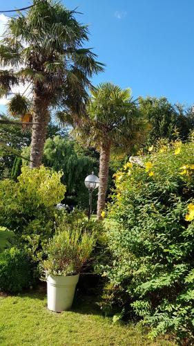 Bed & Breakfast Le Carpe Diem