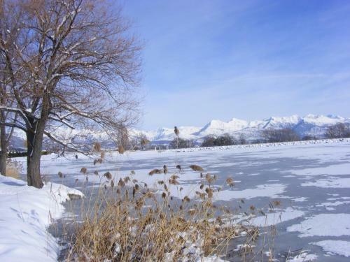 Camping La Motte Flottante