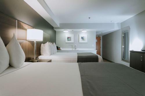 Hotel Best Western Inn At The Meadows