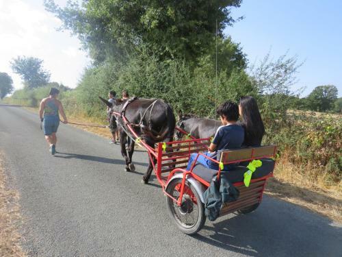 Domaine Des F�es