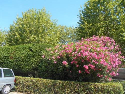 Apartamento Vittoria Immobilier 2