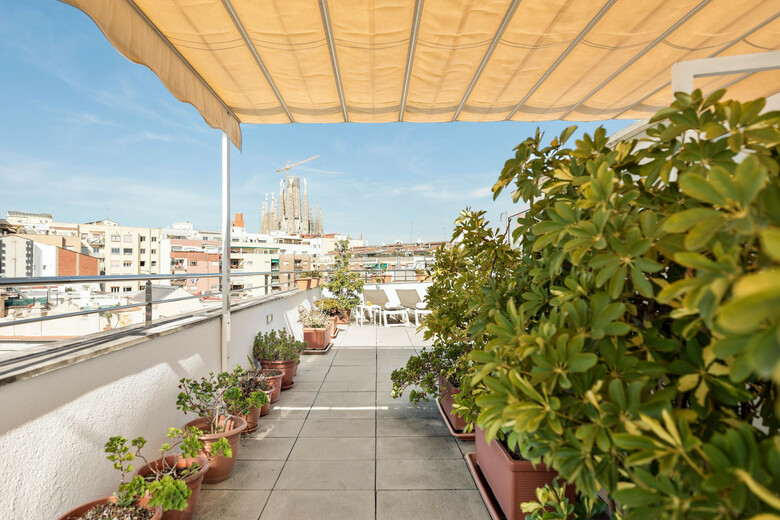 Hotel Aranea