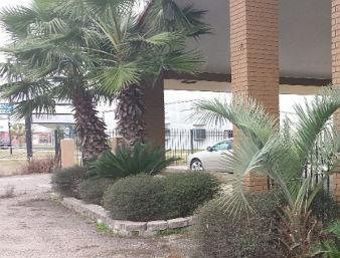 Motel Knights Inn Bay City
