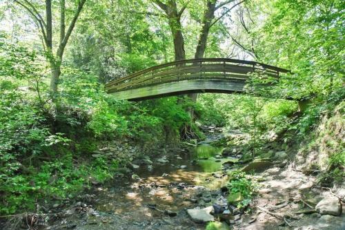 Asheville Creekside Bungalow