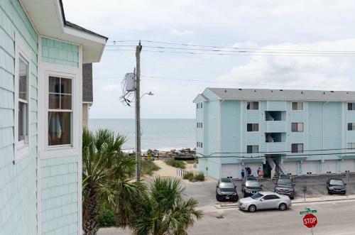 Dolphin Watch