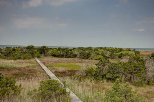 Pamlico Pathway 962