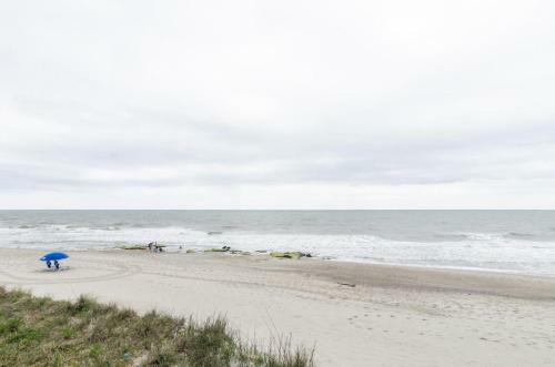 Surfrider