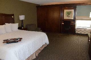 Hotel Hampton Inn Abingdon