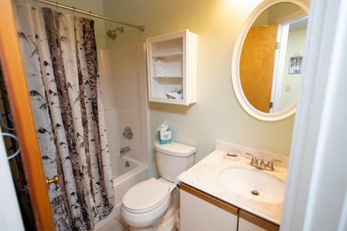Aparthotel Mountain Lodge At Okemo